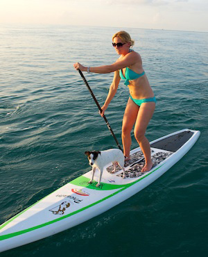 The relatively simple and straightforward pastime of paddleboarding appeals to a diverse cross-section of people.